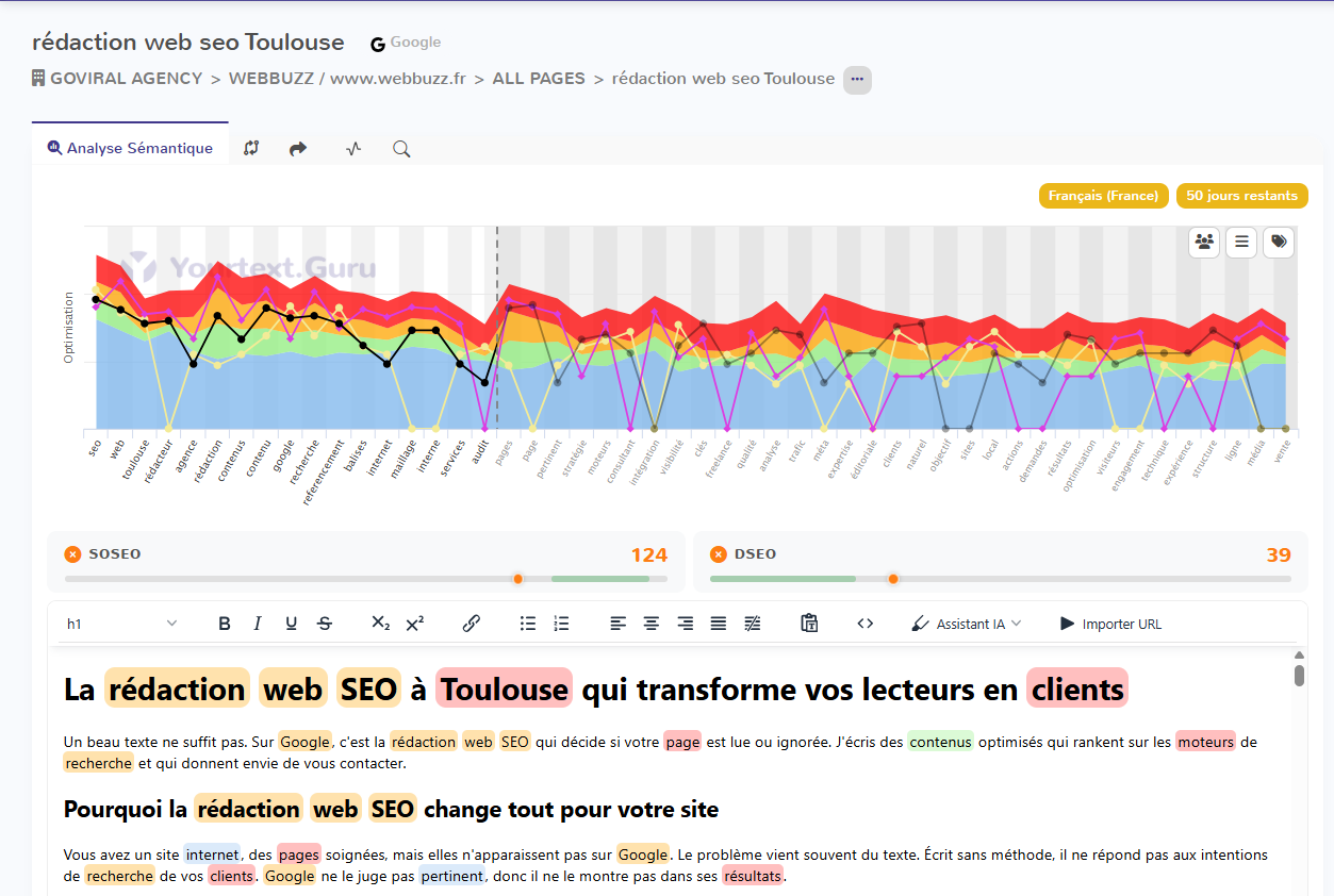 Analyse sémantique YourTextGuru pour la rédaction web SEO à Toulouse